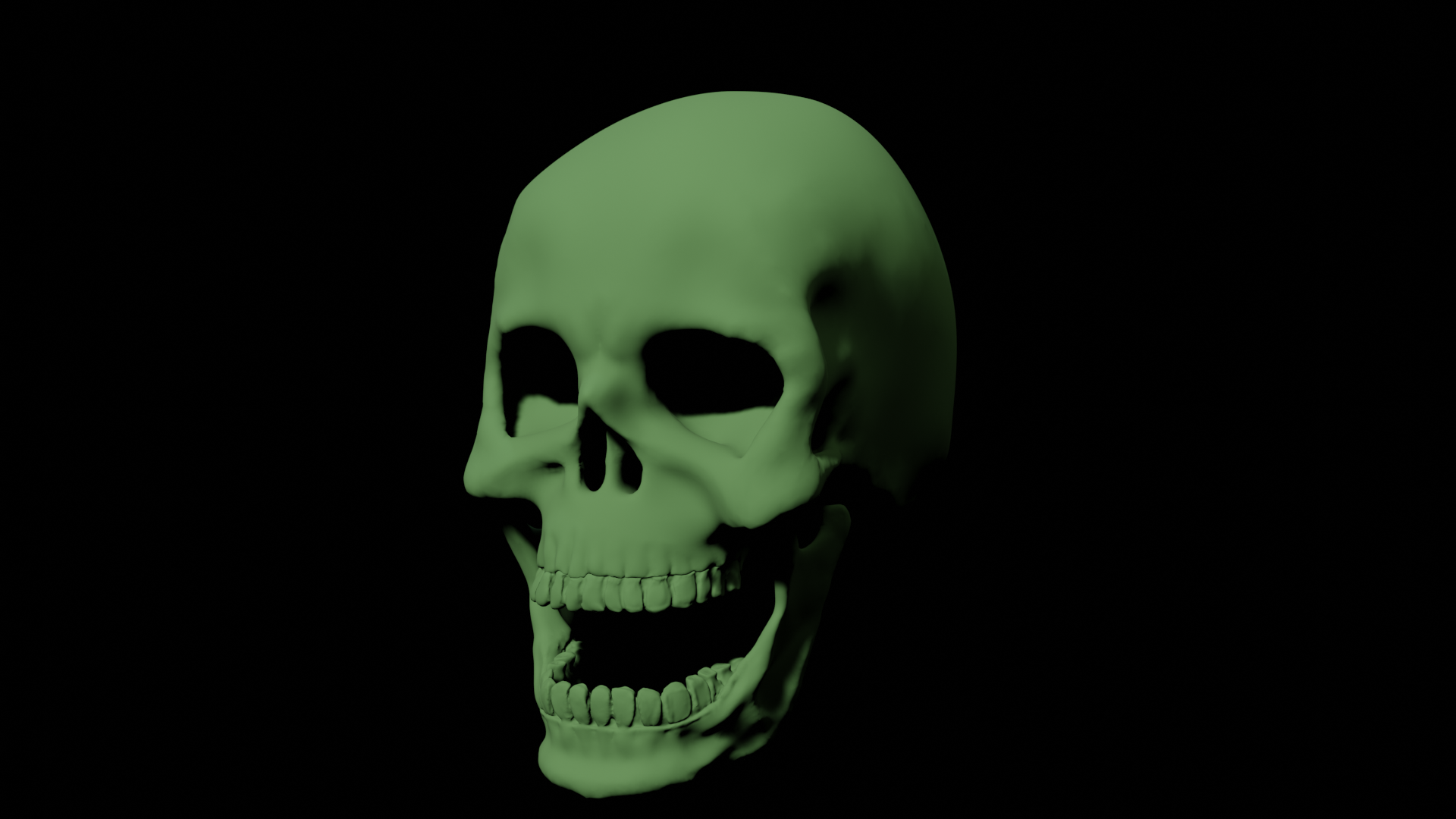 Human Skull A003 preview image 1